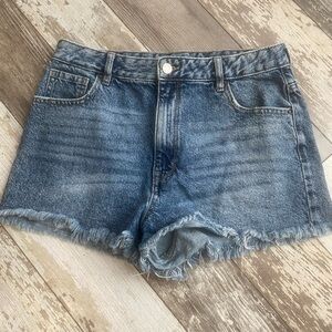 Pacsun High Rise Festival Shorts size 30